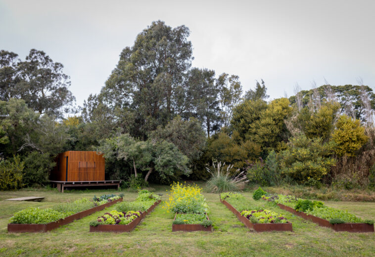 Huerta y hongos